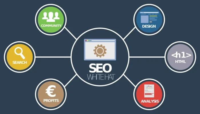 Netlinking: A Strategic Lever for SEO Domination